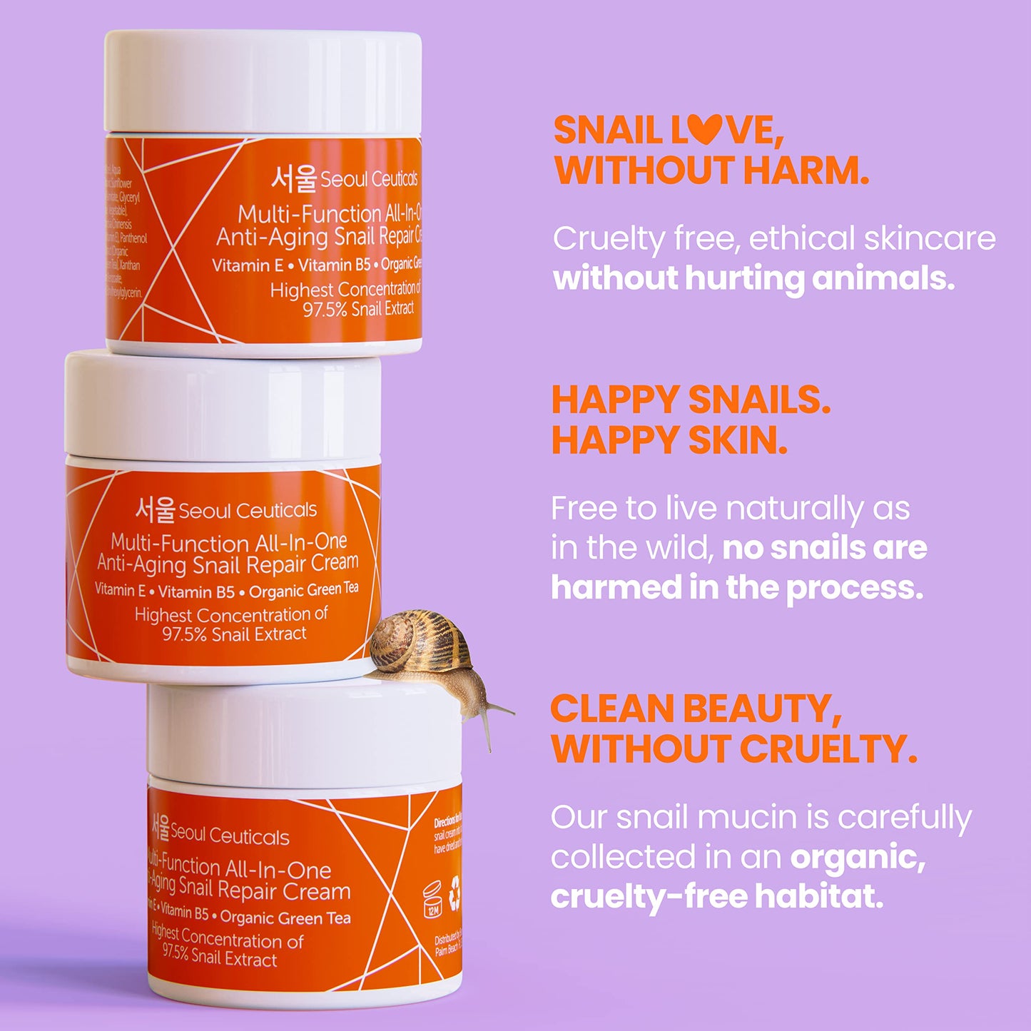 SeoulCeuticals Korean Skin Care Set - Korean Green Tea Face Mask + Korean Snail Cream Moisturizer - Potent Korean Skincare Set Eliminates Dull Dry Skin for Healthy K Beauty Glow